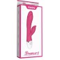 Vibrator Lovetoy Dreamer II Roz